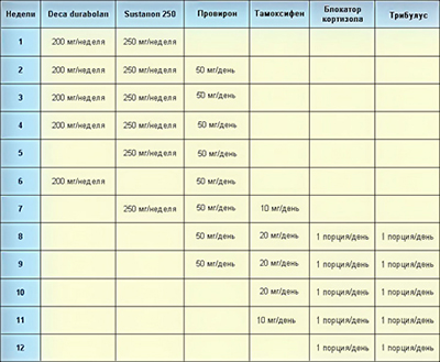 Курс №2 Дека + Сустанон 250