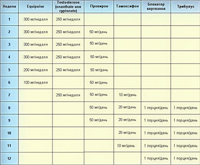 Курс №4 Equipoise + Testosterone