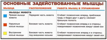Обратные скручивания - мышцы