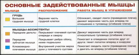 Разведение гантелей лежа - мышцы