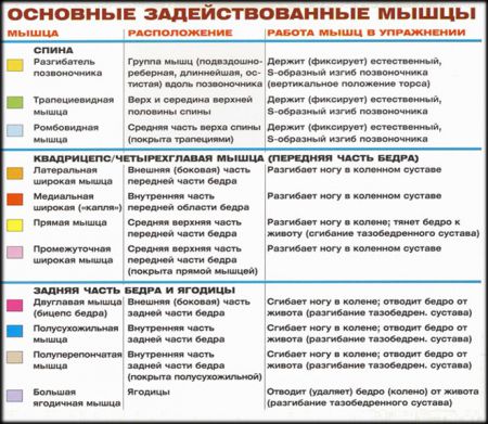 Становая тяга - мышцы