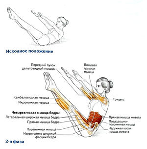 Упражнение крепкий орешек