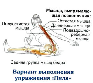 Упражнение пила Упражнение пила