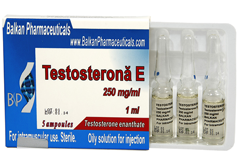 Тестостерона энантат (Testosterona E) Тестостерон энантат