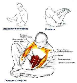 Упражнение тюлень