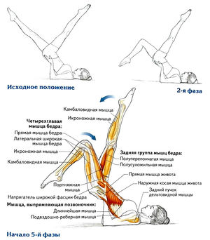 Упражнение велосипед