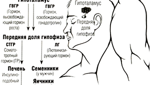 Послекурсовая терапия (PCT)