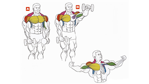 Подъем гантелей перед собой