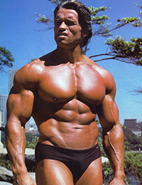 Арнольд Шварценеггер<br>(Arnold Schwarzenegger)