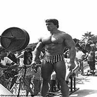 Арнольд Шварценеггер (Arnold Schwarzenegger)