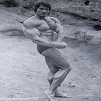 Арнольд Шварценеггер (Arnold Schwarzenegger)
