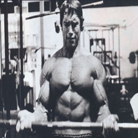 Арнольд Шварценеггер (Arnold Schwarzenegger)