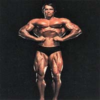 Арнольд Шварценеггер (Arnold Schwarzenegger)